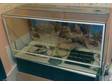 3ft All Glass Vivarium (see Picture )